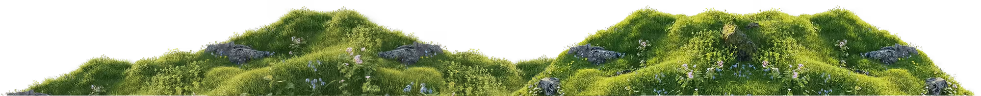 Grass Background
