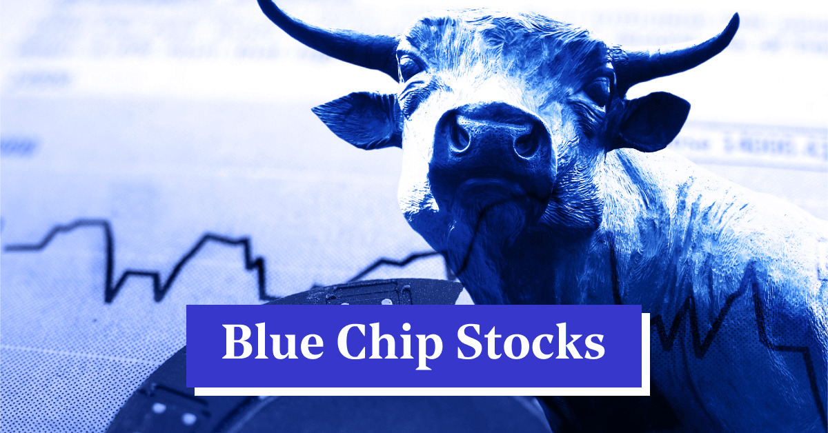 Best Blue Chip Stocks to Buy in India NSE (2024)