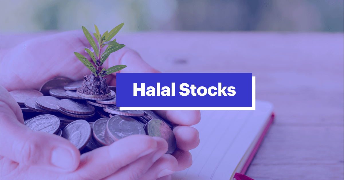 Best Halal Stocks in NSE in the Indian Stock Market for 2024